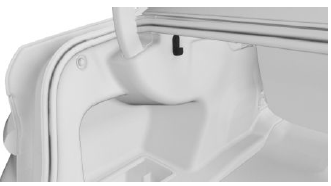 Cargo area