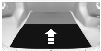 Cargo area