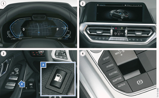 Identifying-features